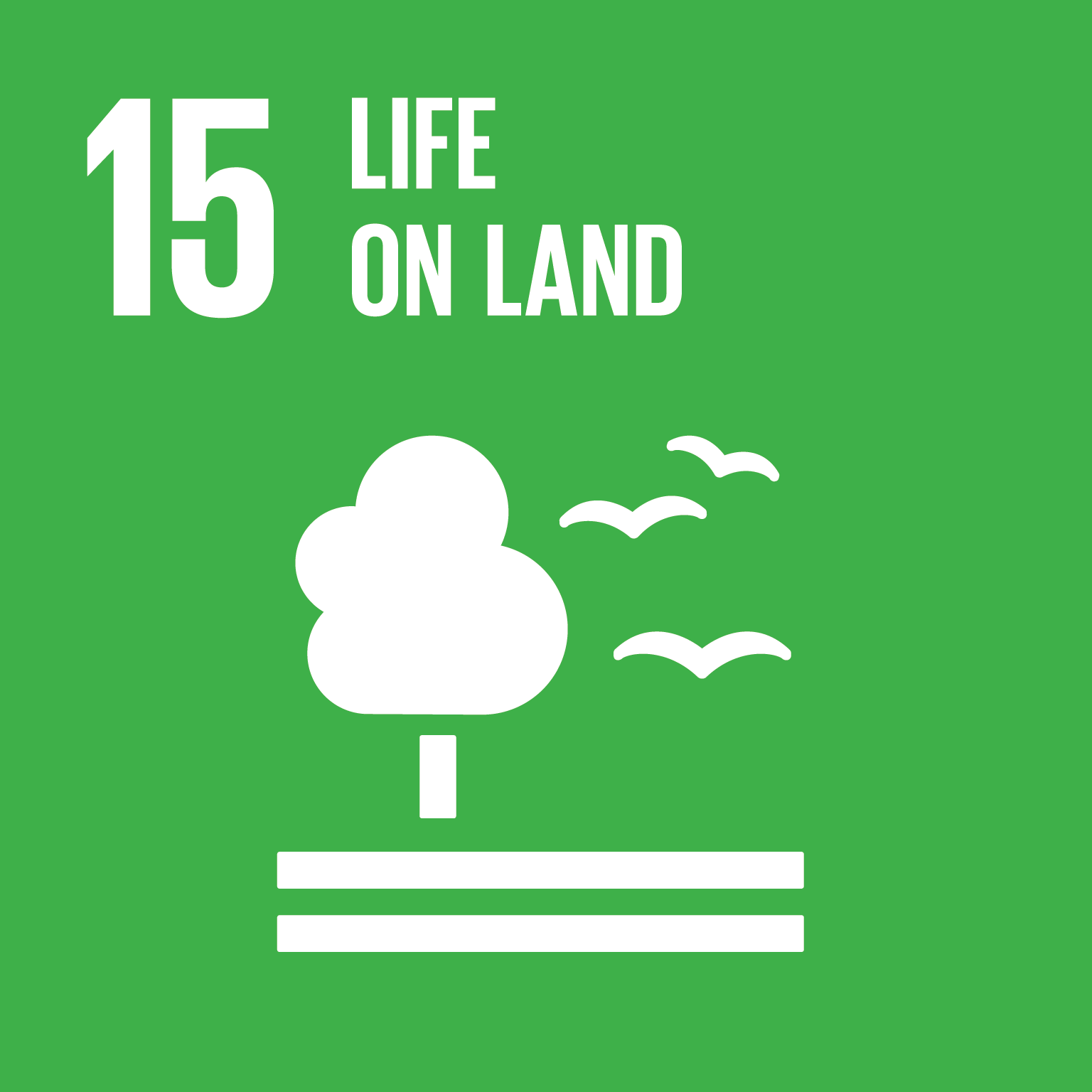 SDG 15 - Dan Kaitannya Dengan Fenomena Li Ziqi