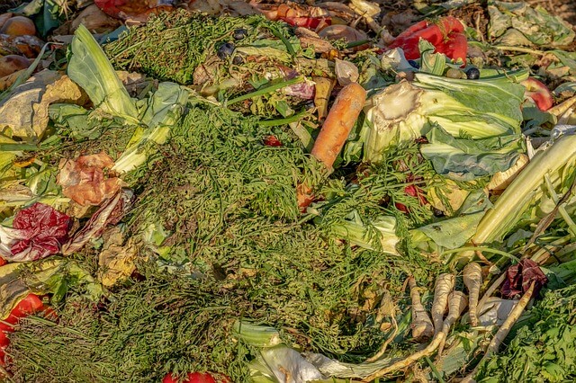 Cara Memanfaatkan Bahan Buangan Dari Sayur Dan Buah