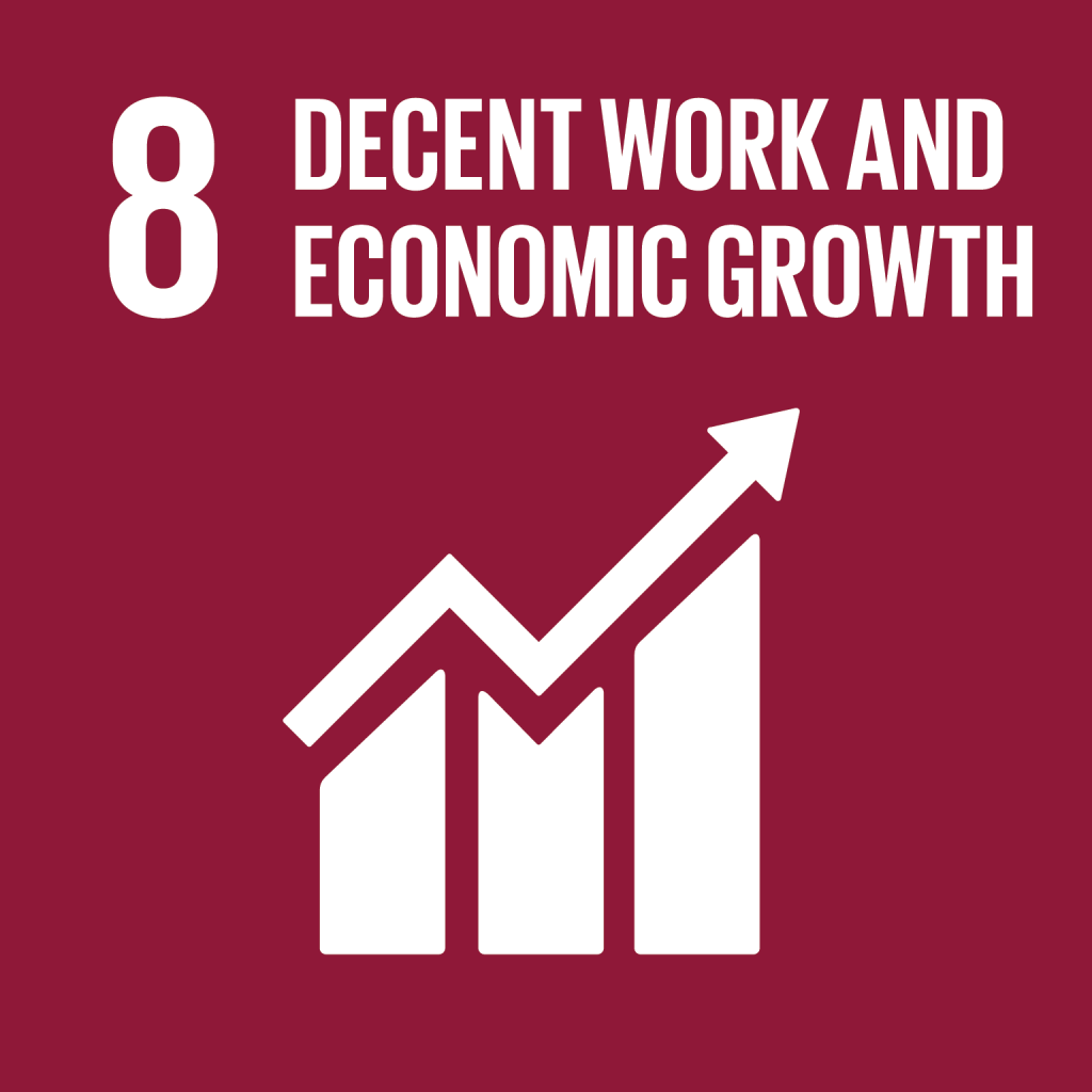 8.Decent Work & Economy Growth